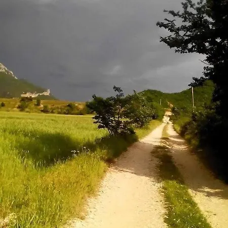Vero